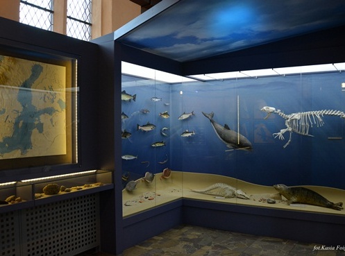 Muzeum Ryboł&oacute;wstwa