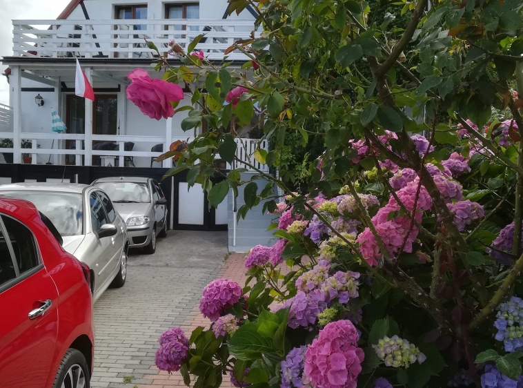 Mulino Italiano ?v=1.0.1