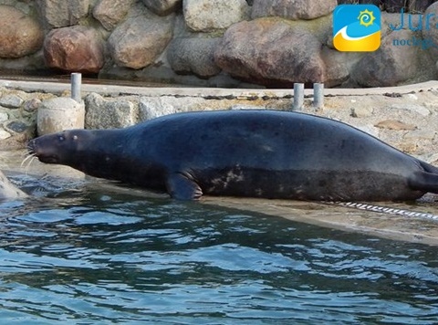 Hel - wycieczka jednodniowa