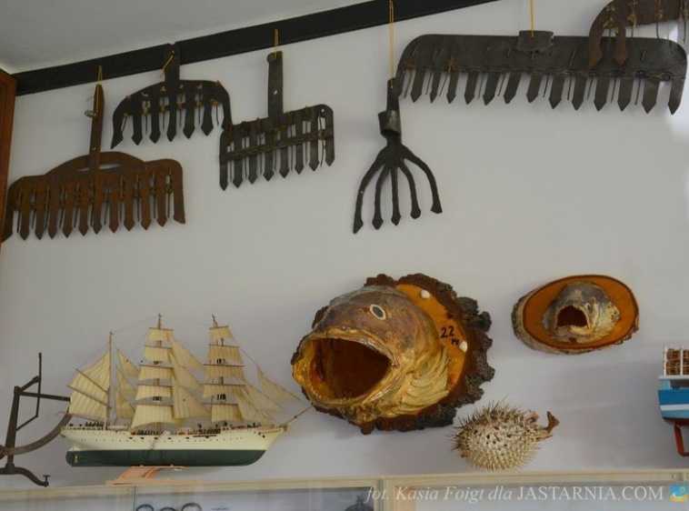 Muzeum w Bosmanacie Portu