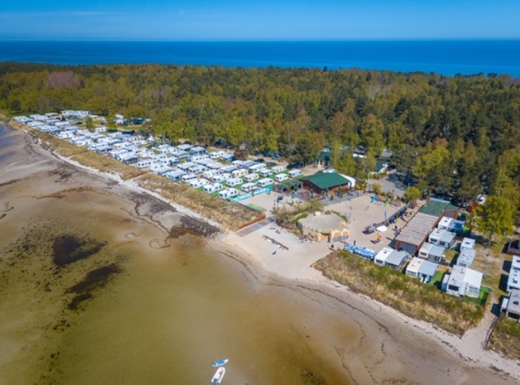 SurfPoint pod cyprysami