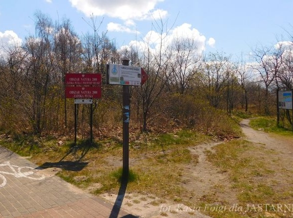 Uroczysko Każa - ścieżka przyrodnicza w Kuźnicy