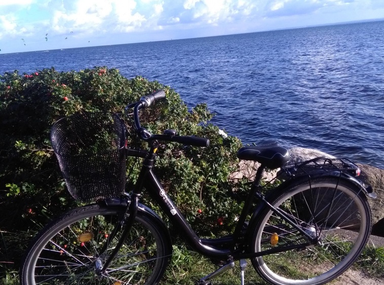 Jastarnia Wypożyczalnia rower&oacute;w Ottobike  